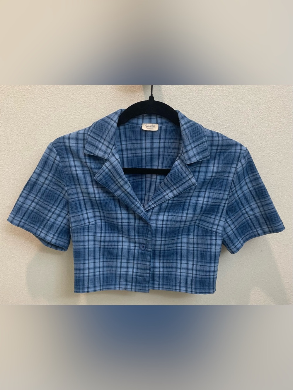 John Galt Brandy Melville Blue Plaid Button-Up Short Sleeve Cropped Top
